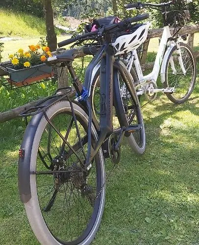 Дом отдыха Casa Ludizzo *